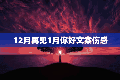 12月再见1月你好文案伤感(12月再见1月你好文案伤感句子)